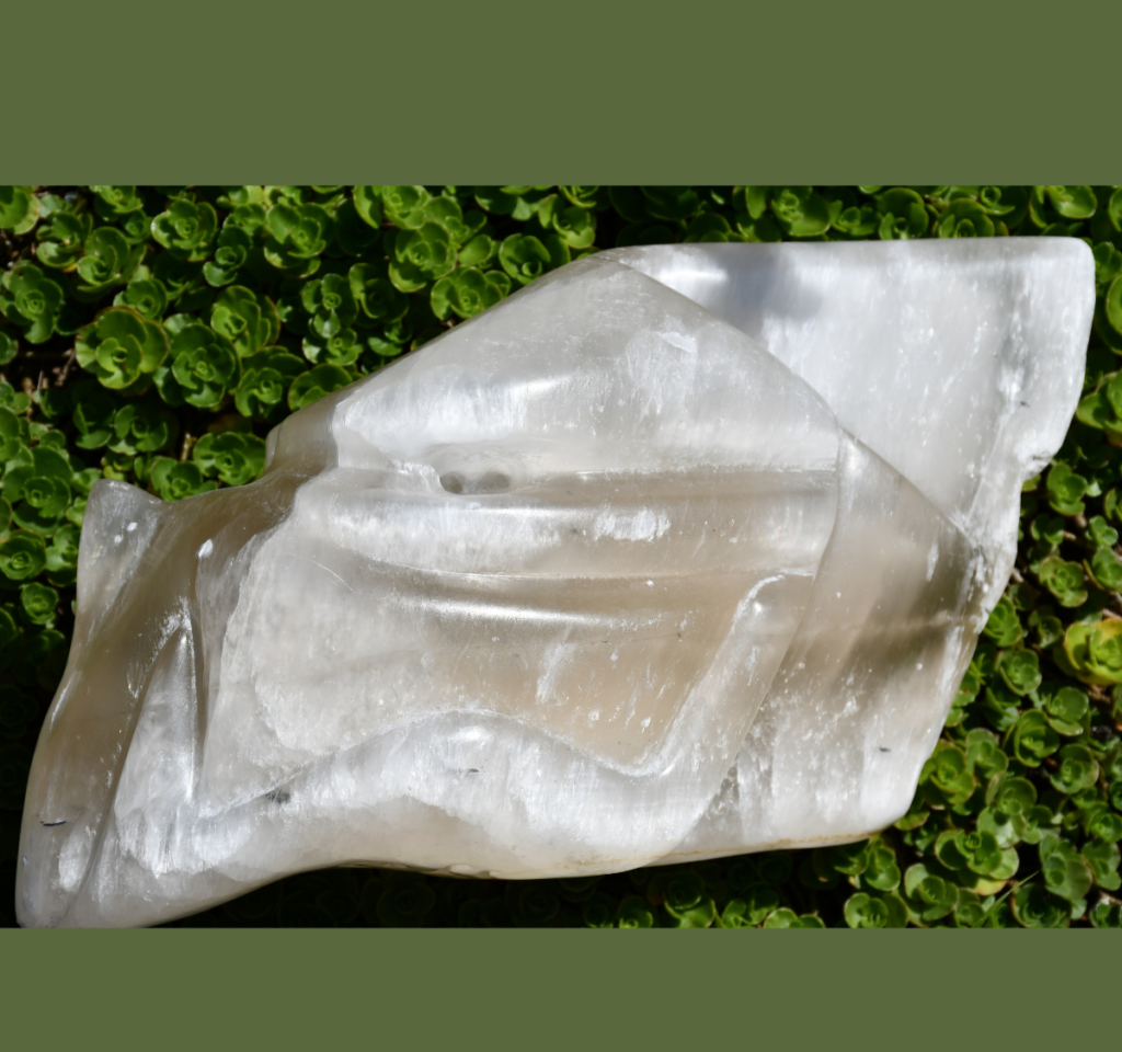 Amber Dragon Dragon Energy Healing UK | Amber Dragon (pets only)